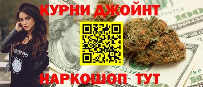 СК Гатчина
