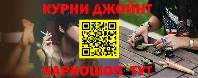СК Гатчина