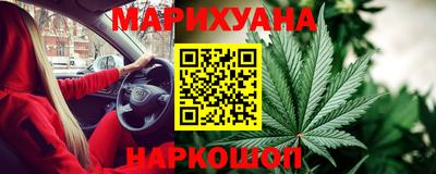 СК Гатчина