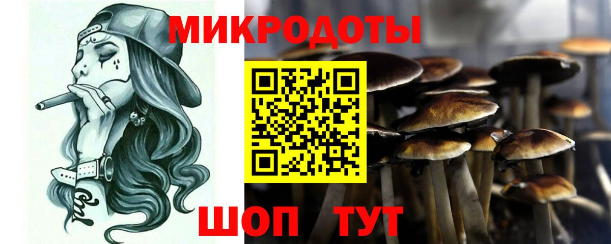 Галлюциногенные грибы прущие грибы  Вход с VPN  Муравленко 